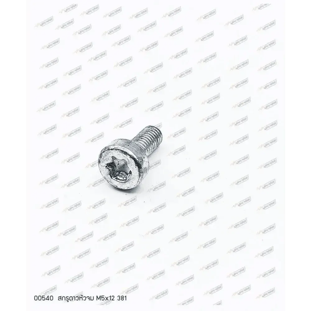 00540 สกรูดาวหัวจม M5x12 MS381