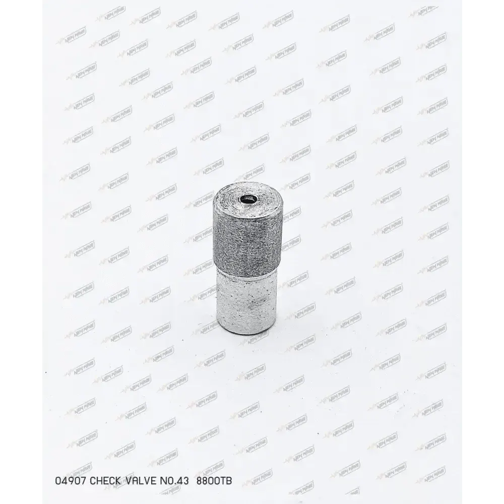 04907 CHECK VALVE NO.43 8800TB