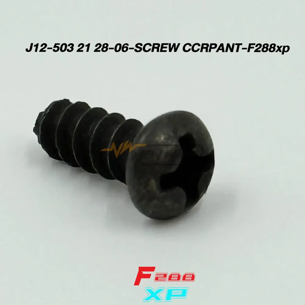 J12-503 21 28-06-SCREW CCRPANT-F288xp